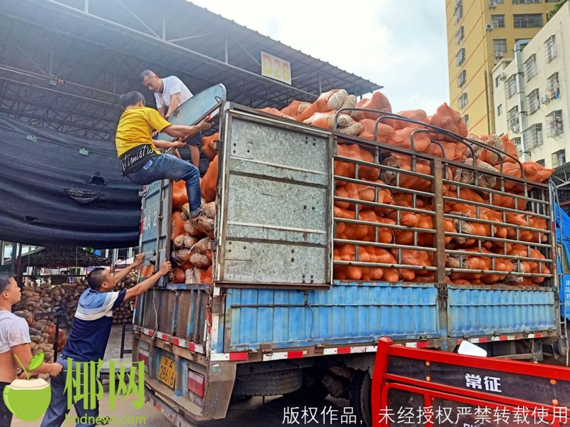 解读海南商品批发市场的风向标
